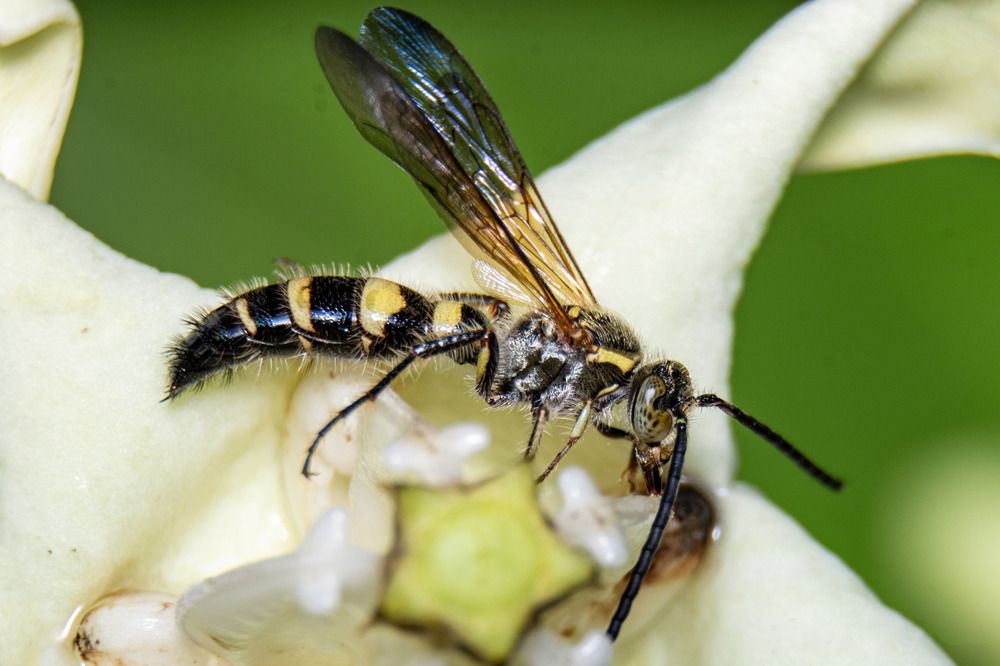 Photograph by Shehan Dondeenu