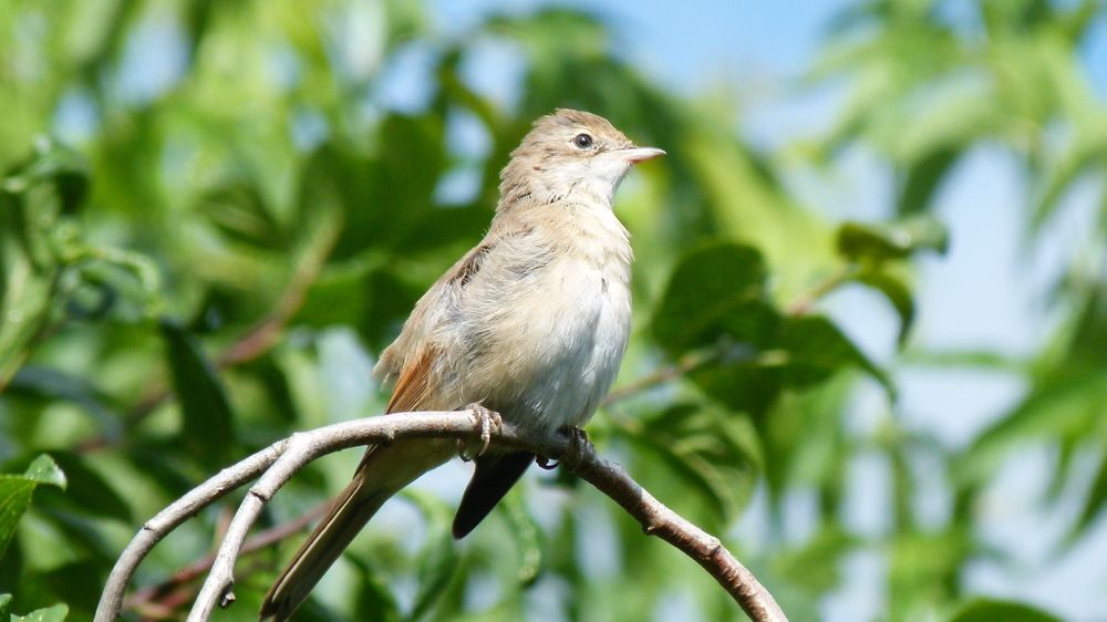 Photograph by Егор Чинарев