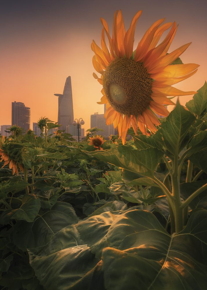 Photograph by Ton Thien