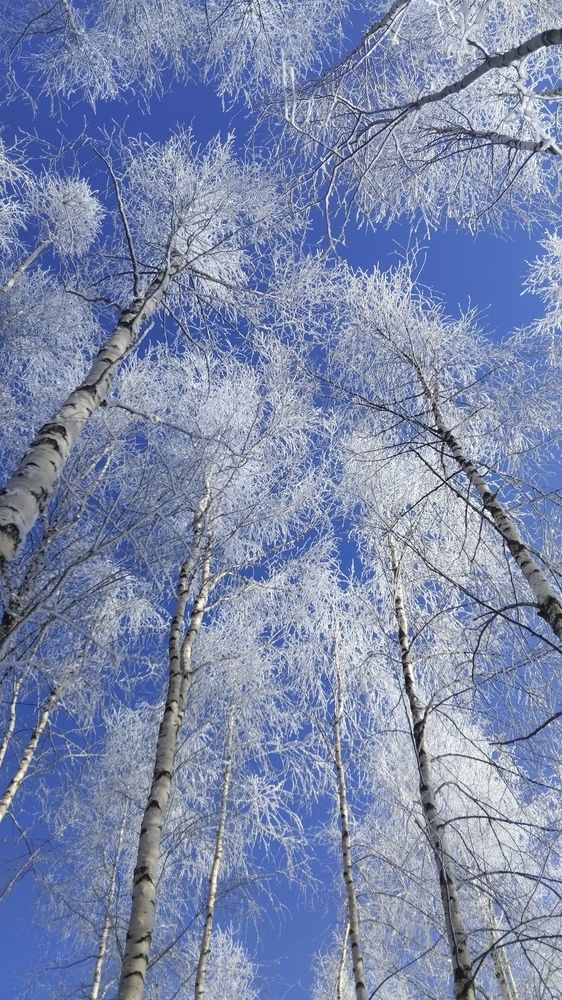 Photograph by Елена Малкова