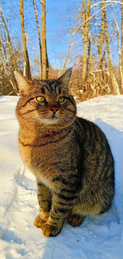 Photograph by Татьяна Пятернёва