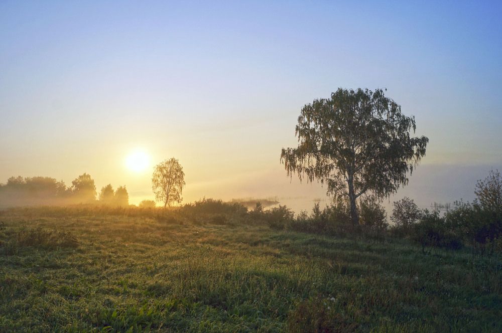 Photograph by Мишустина Татьяна