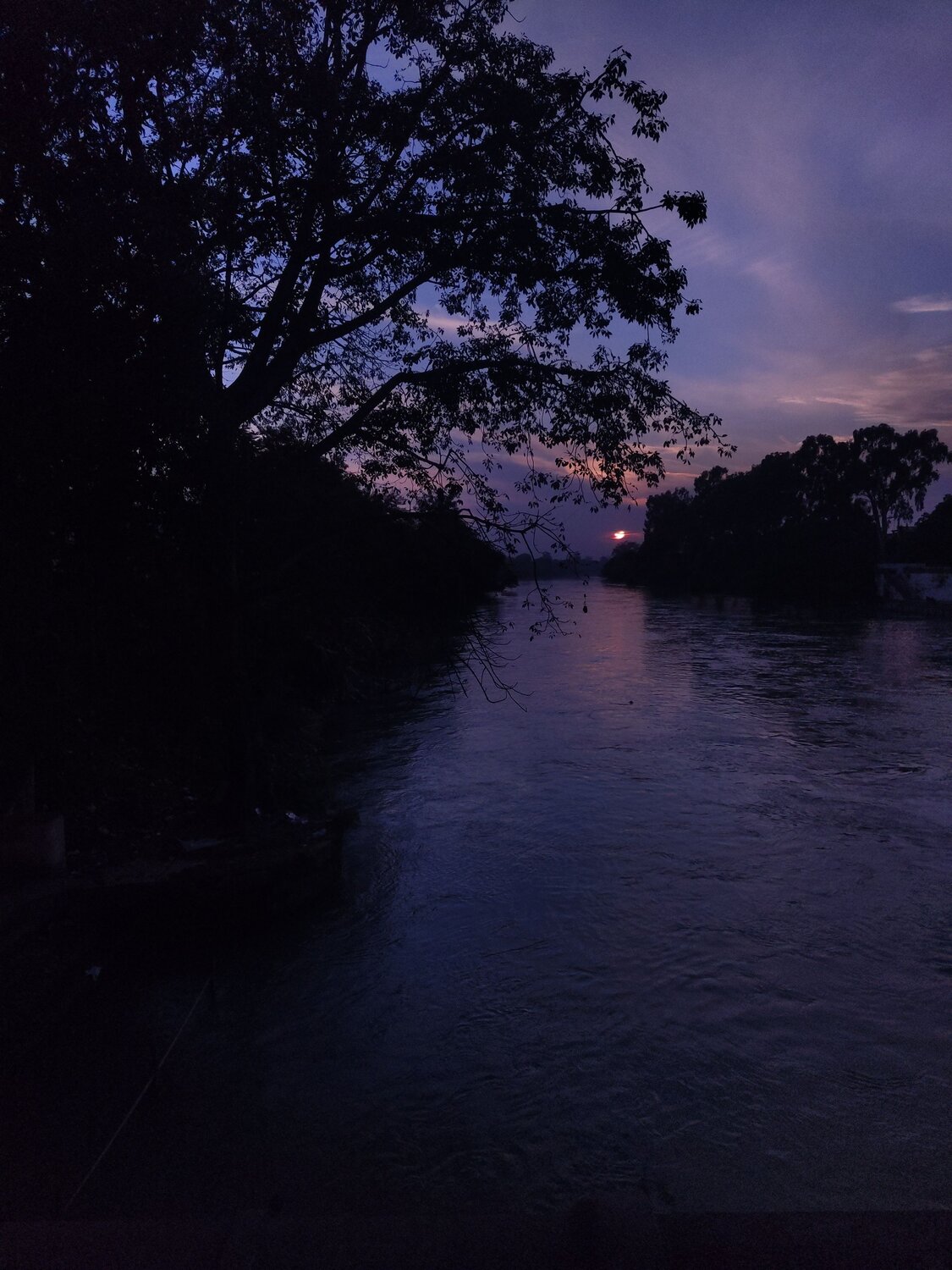Photo #11960282
