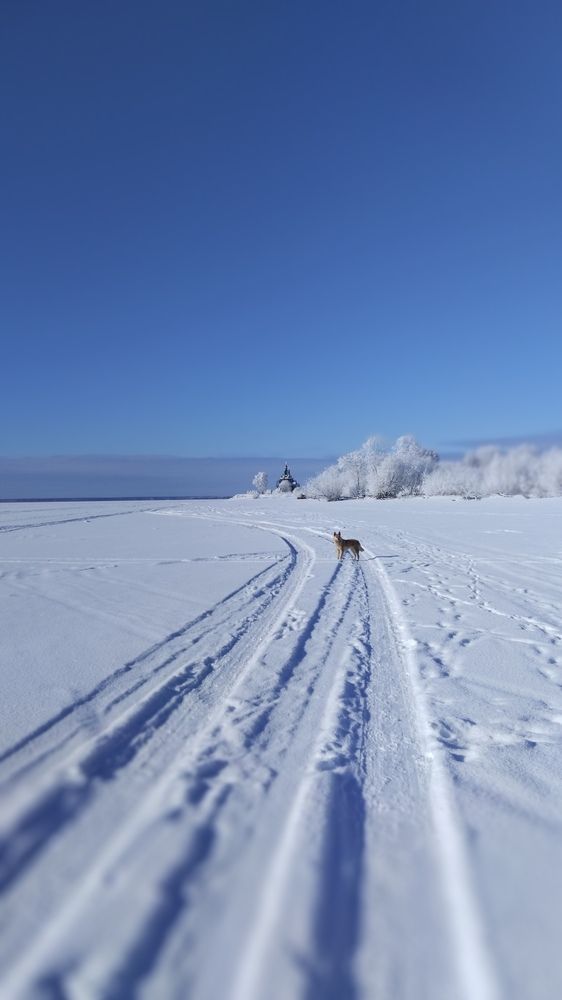 Photograph by Елена Малкова