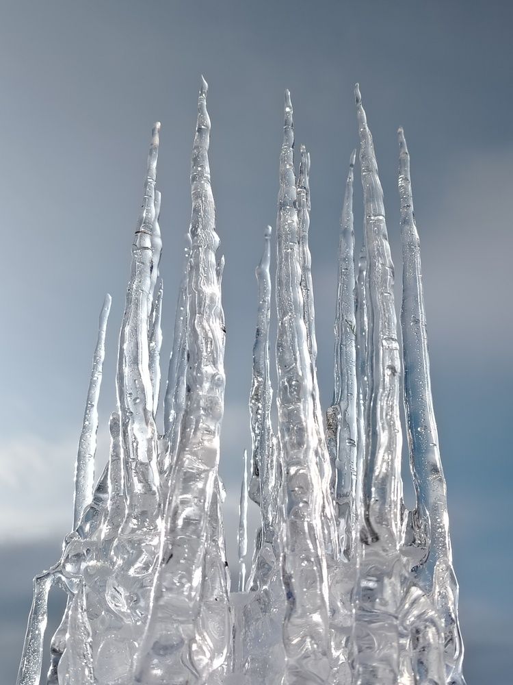 Фотография автора Любовь Чечешкина