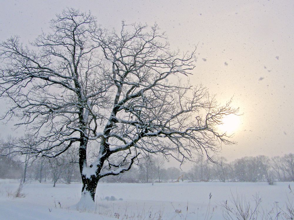 Photograph by Марианна Браун