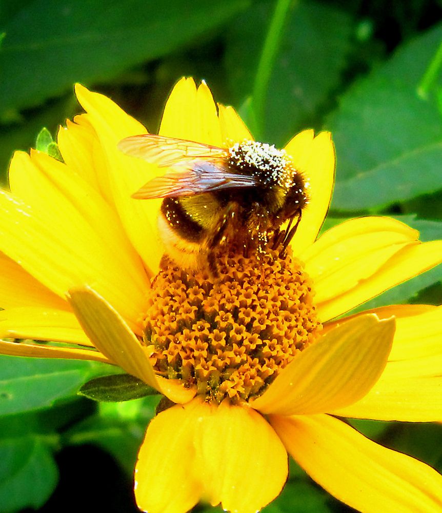 Фотография автора Всеволод