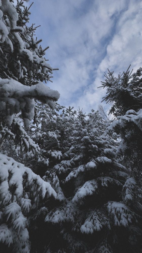 Photograph by Мария Калюжная