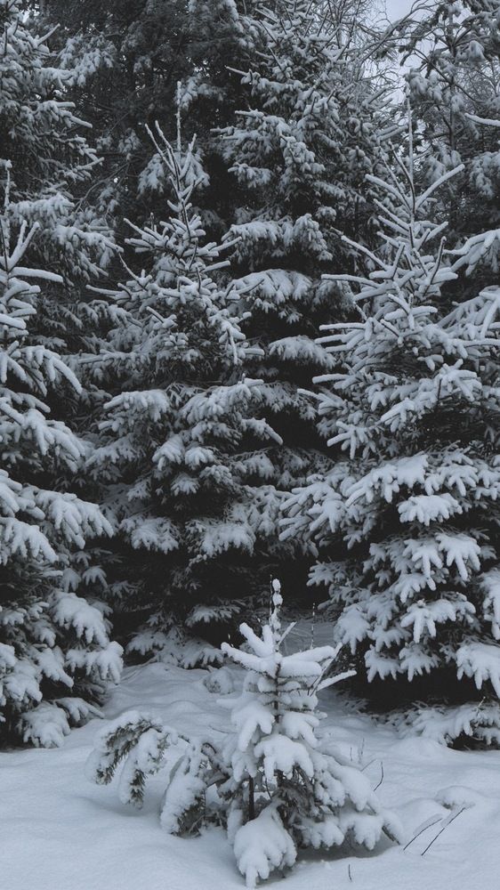 Photograph by Мария Калюжная