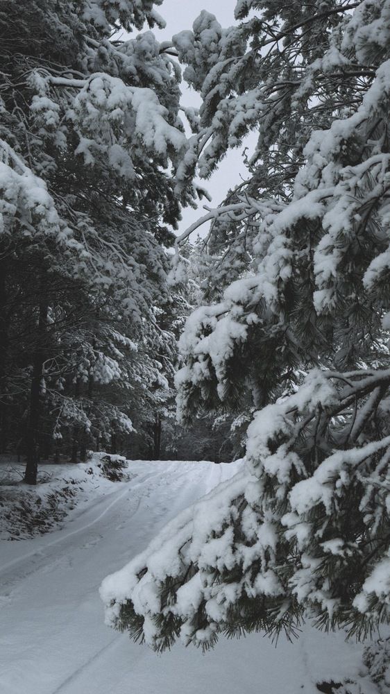 Photograph by Мария Калюжная