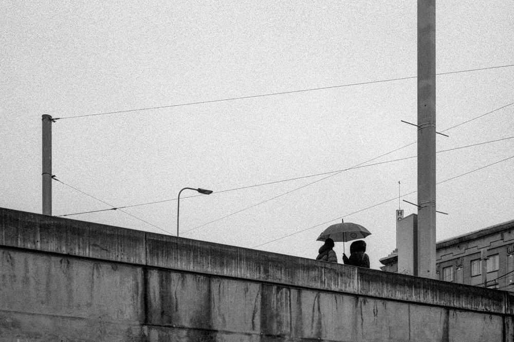 Photograph by Nikolay Surovtsev