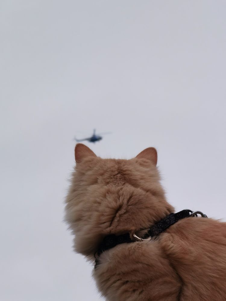 Photograph by Вернигоров Георгий