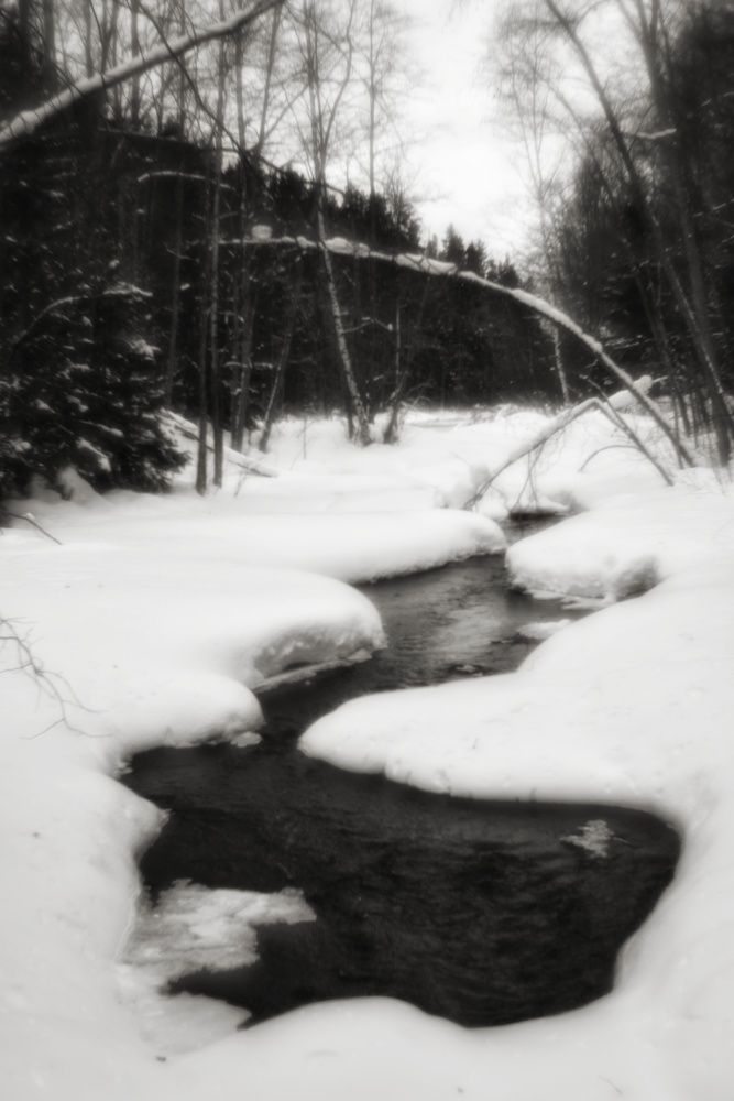 Photograph by Владимир Леликов-Кузьменко