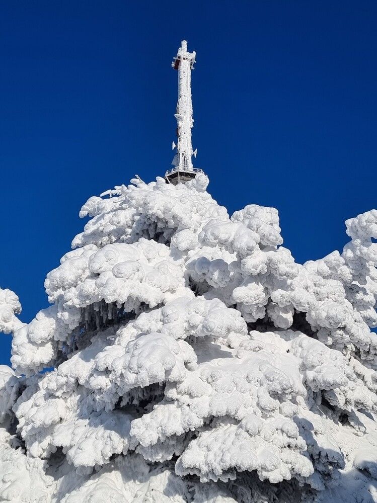 Photograph by Лидия Лащева