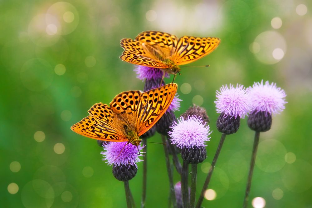 Фотография автора Марина Юдинских