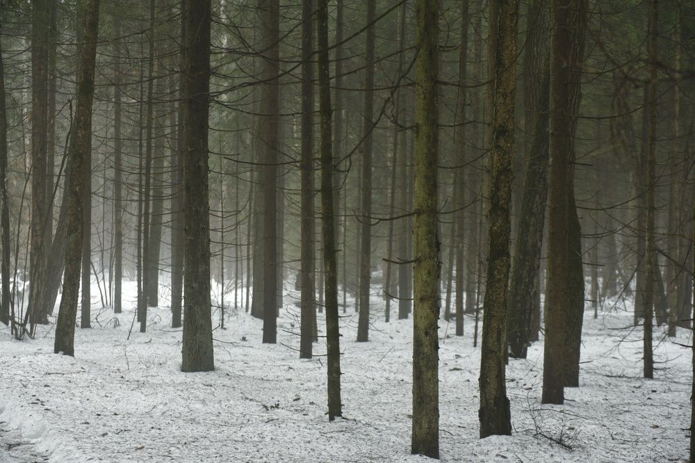 Photograph by Владимир Леликов-Кузьменко