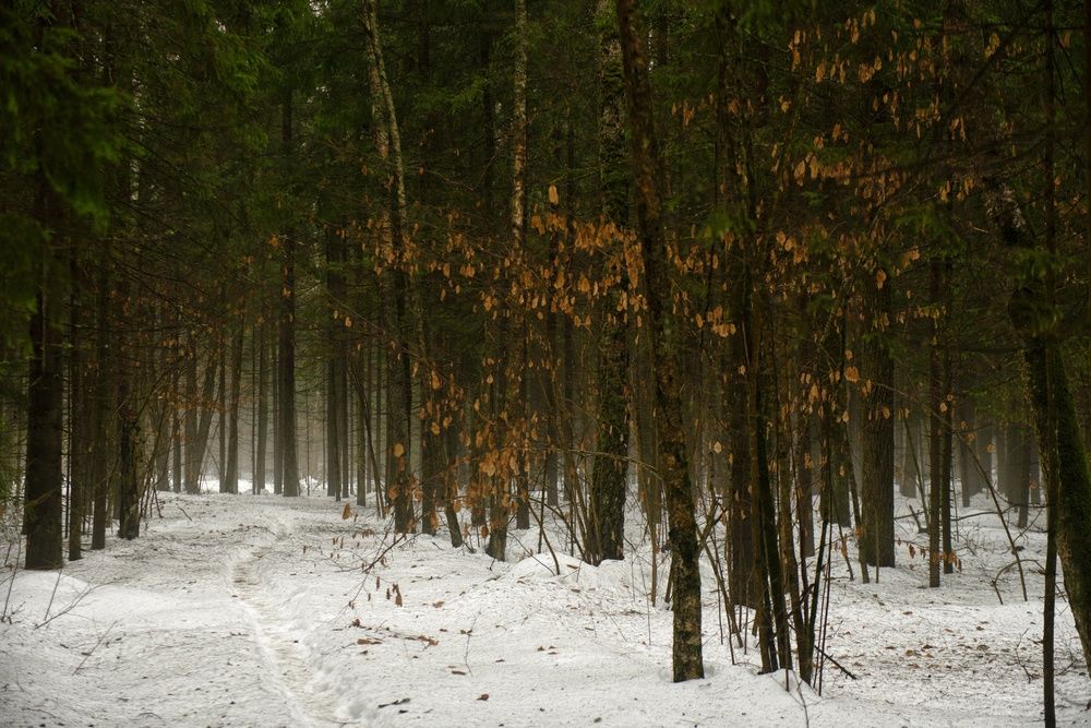 Photograph by Владимир Леликов-Кузьменко