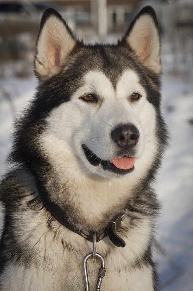 Photograph by Лев Постнов