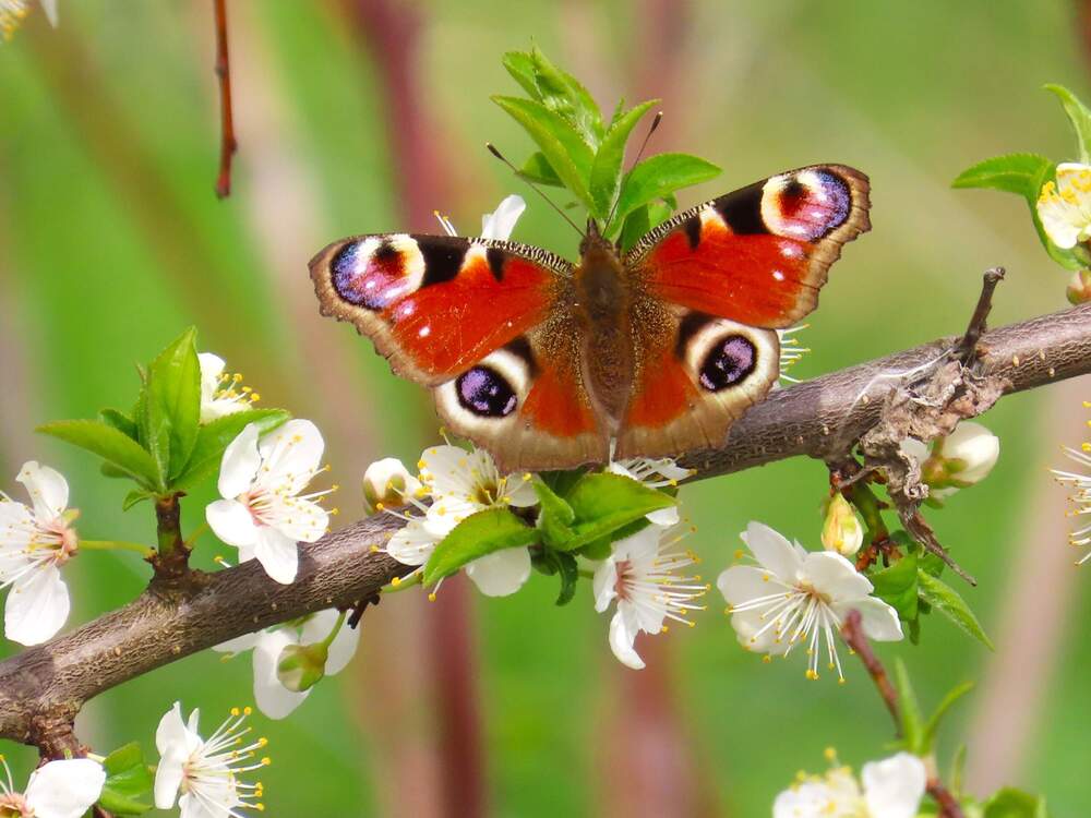 Photograph by Ольга Митрофанова