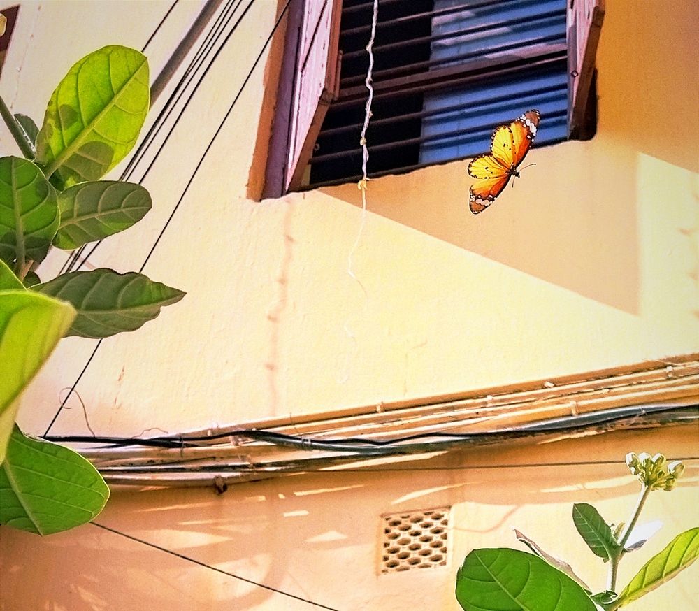 Photograph by Chandreyee Samaddar