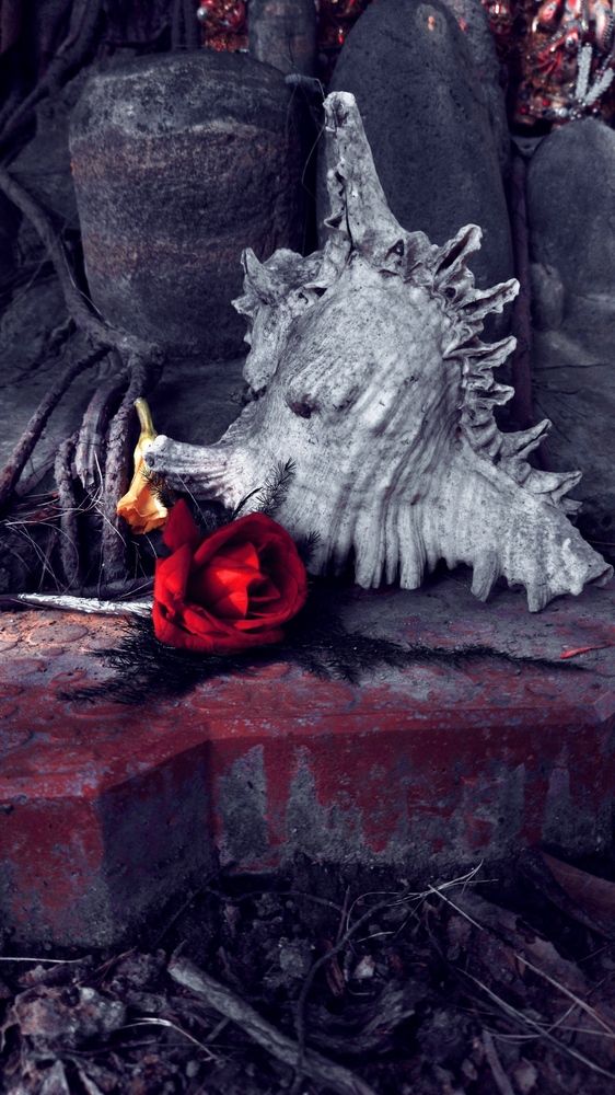 Photograph by Chandreyee Samaddar