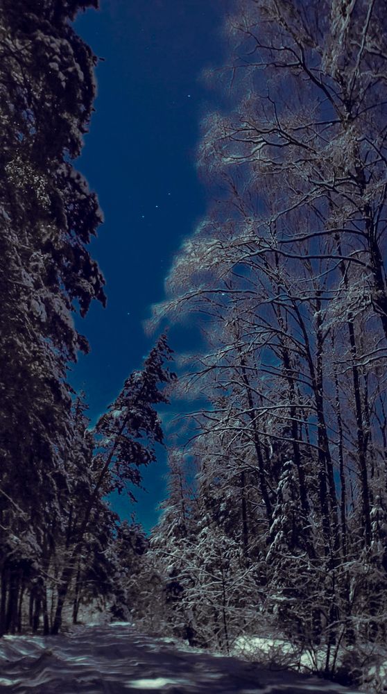 Photograph by Сафронов Александр