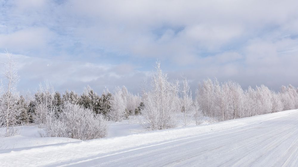 Фотография автора Кушпилева Марина