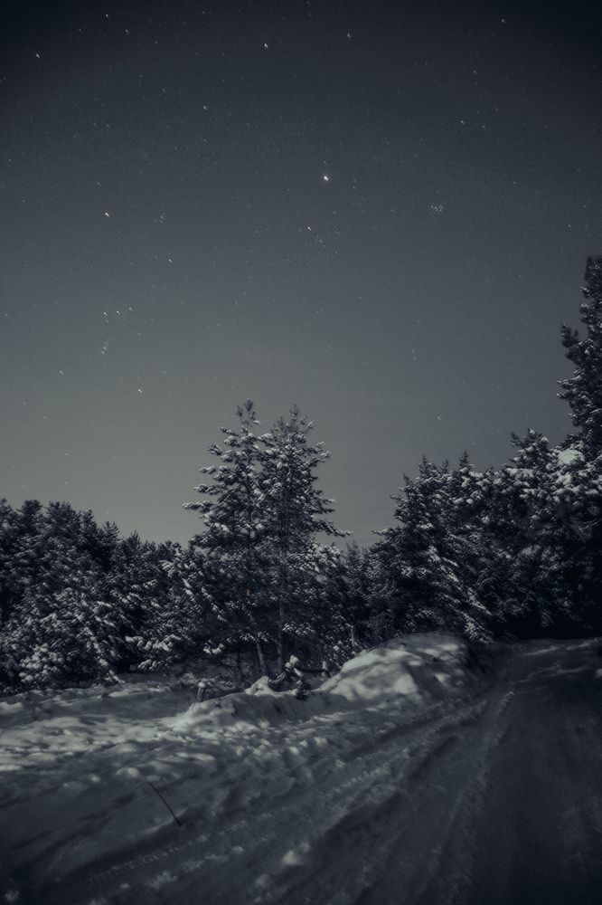 Photograph by Сафронов Александр