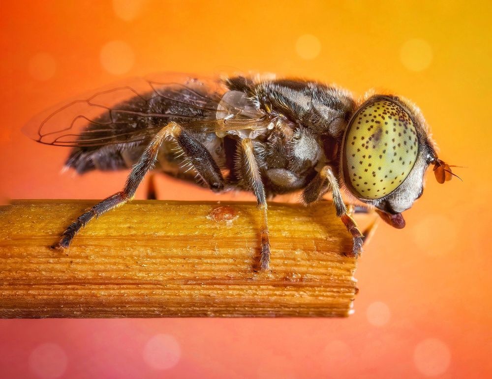 Photograph by Abolfazl Arab