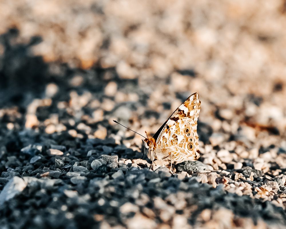 Photograph by Котов Артем