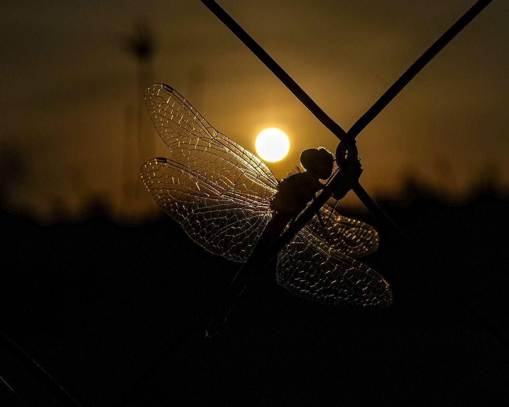 Photograph by Котов Артем