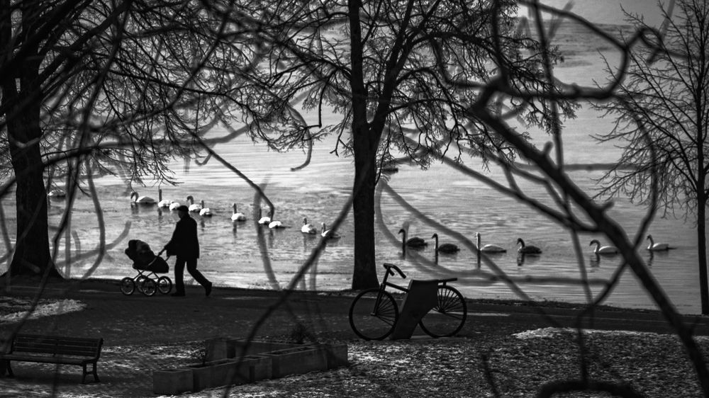 Фотография автора Артур Богородицкий