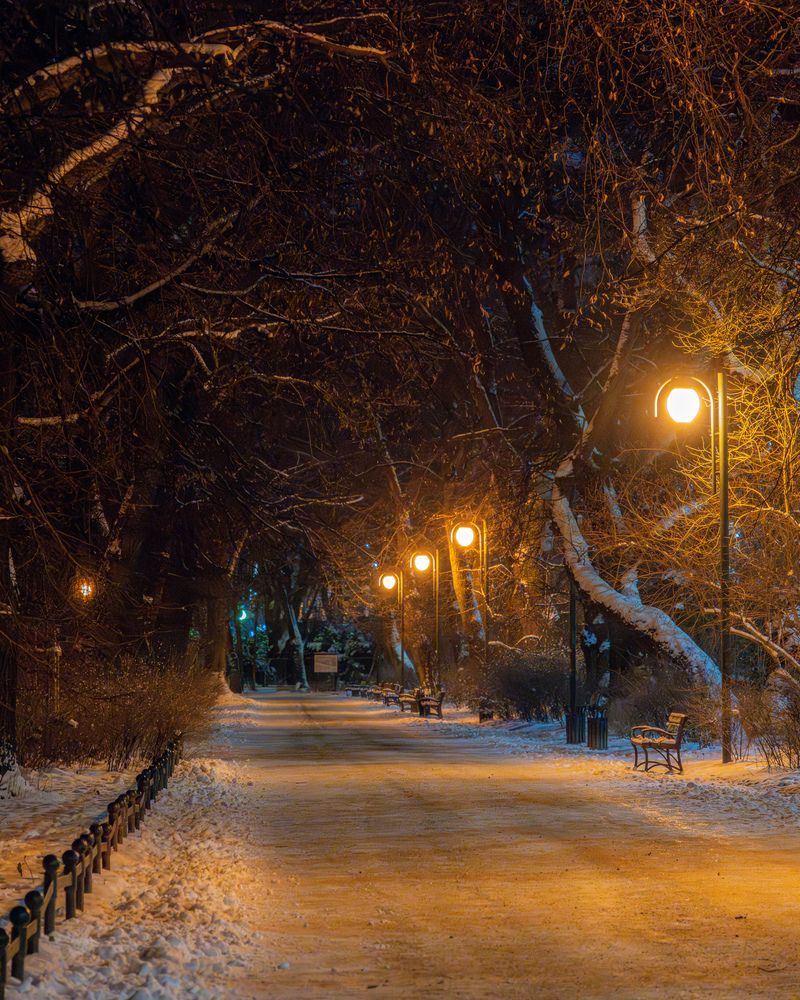 Photograph by Anton Leonchikov