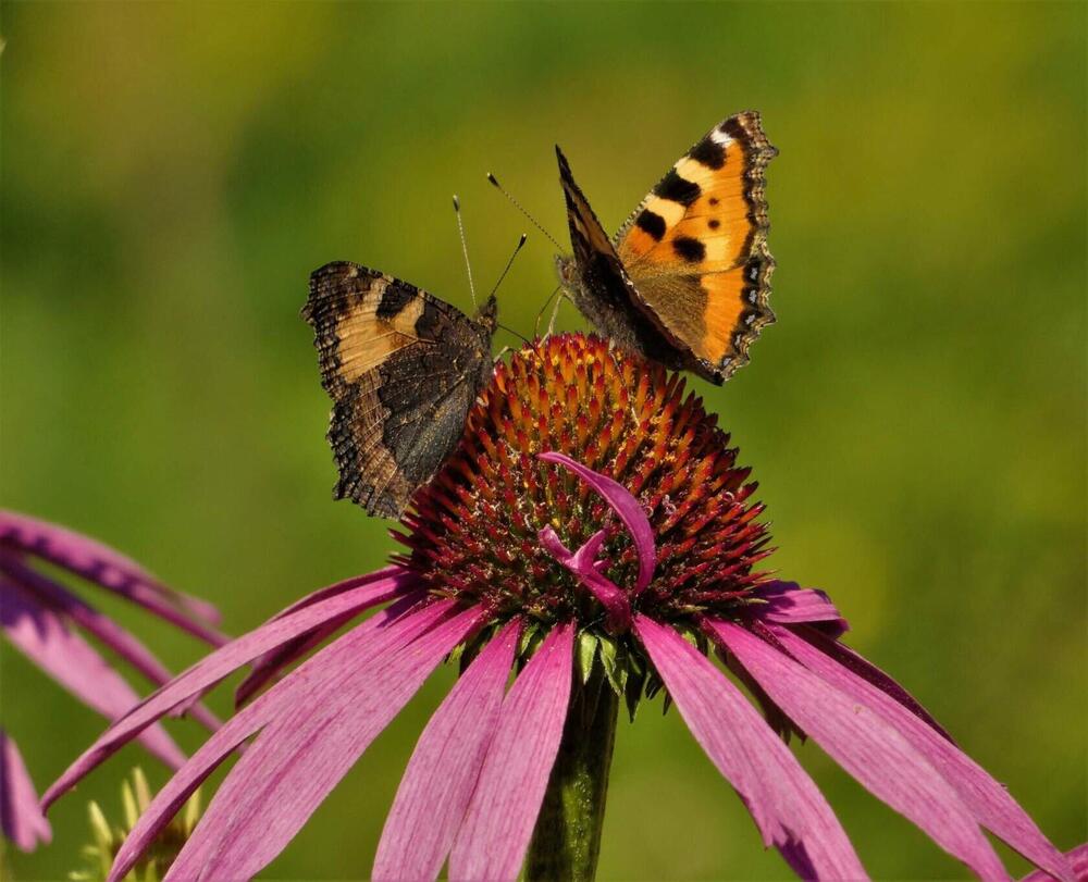 Photograph by Ольга Митрофанова