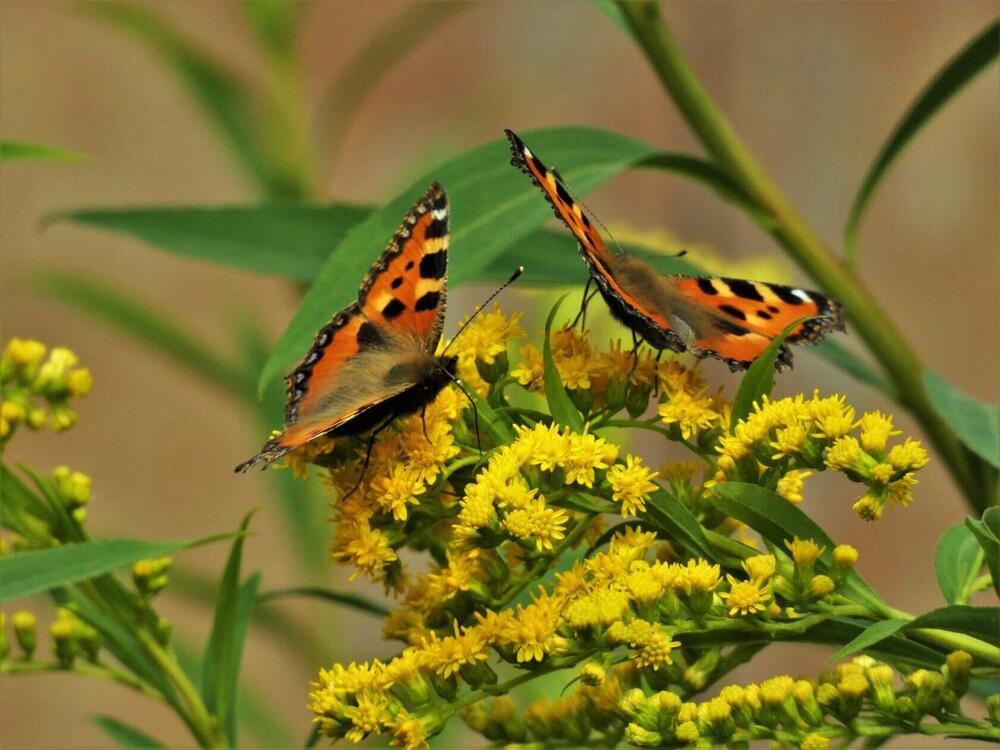 Photograph by Ольга Митрофанова