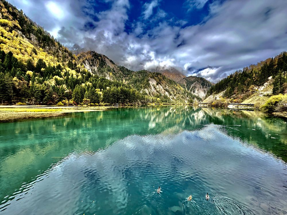 Фотография автора Natalia Kuzmina