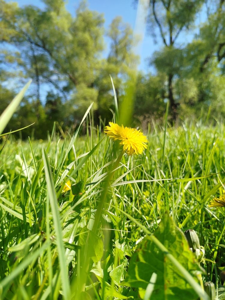 Photograph by Зульфия