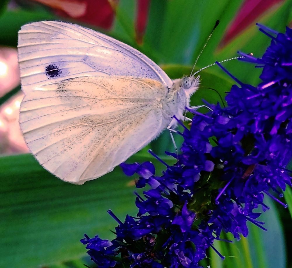 Photograph by Наталья Назаренко