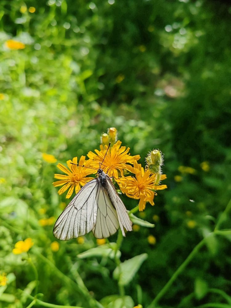 Photograph by Наталья Круглова