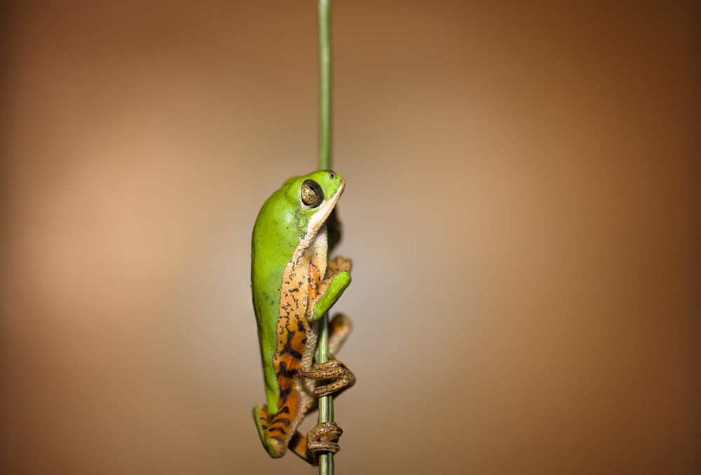 ???ℎ?????? ℎ????ℎ?????????