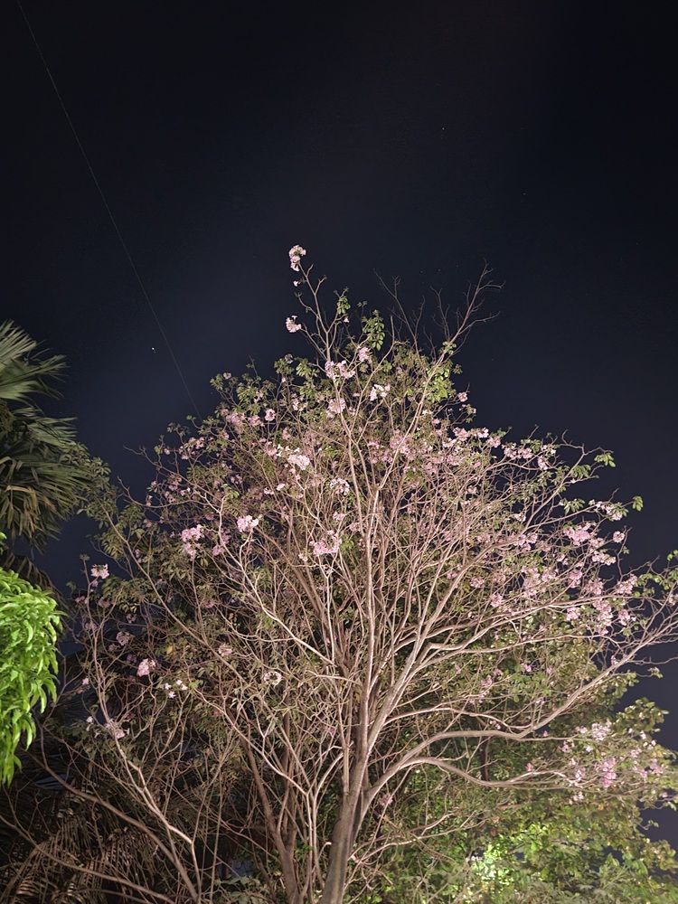 Photograph by Disha Balwani