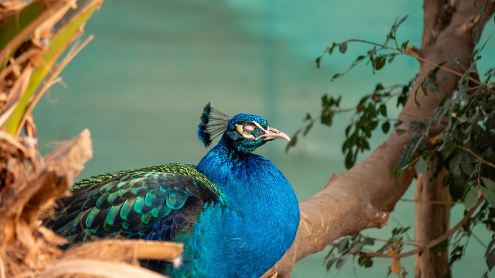 Photograph by Hassam uddin