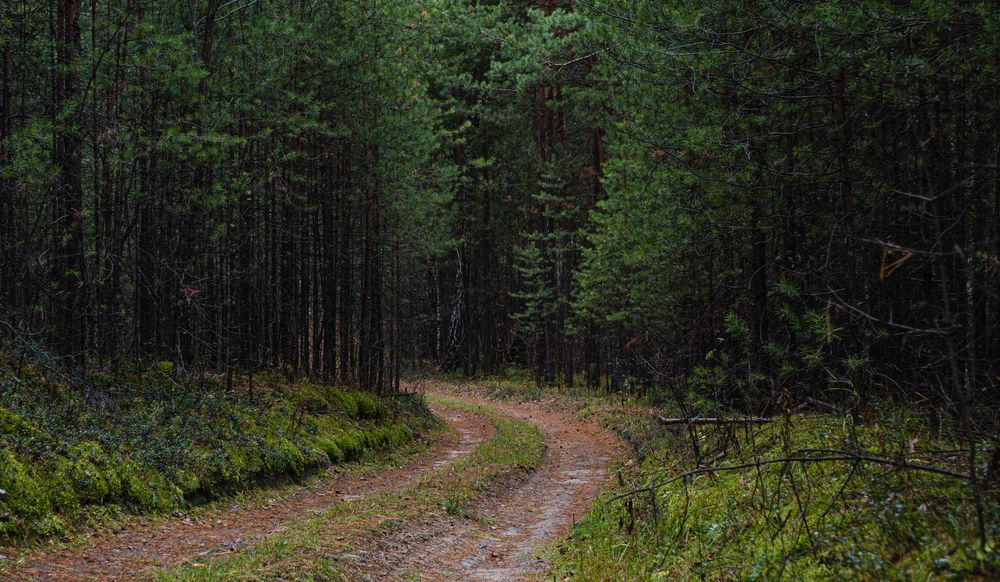 Photograph by Дмитрий Васильев