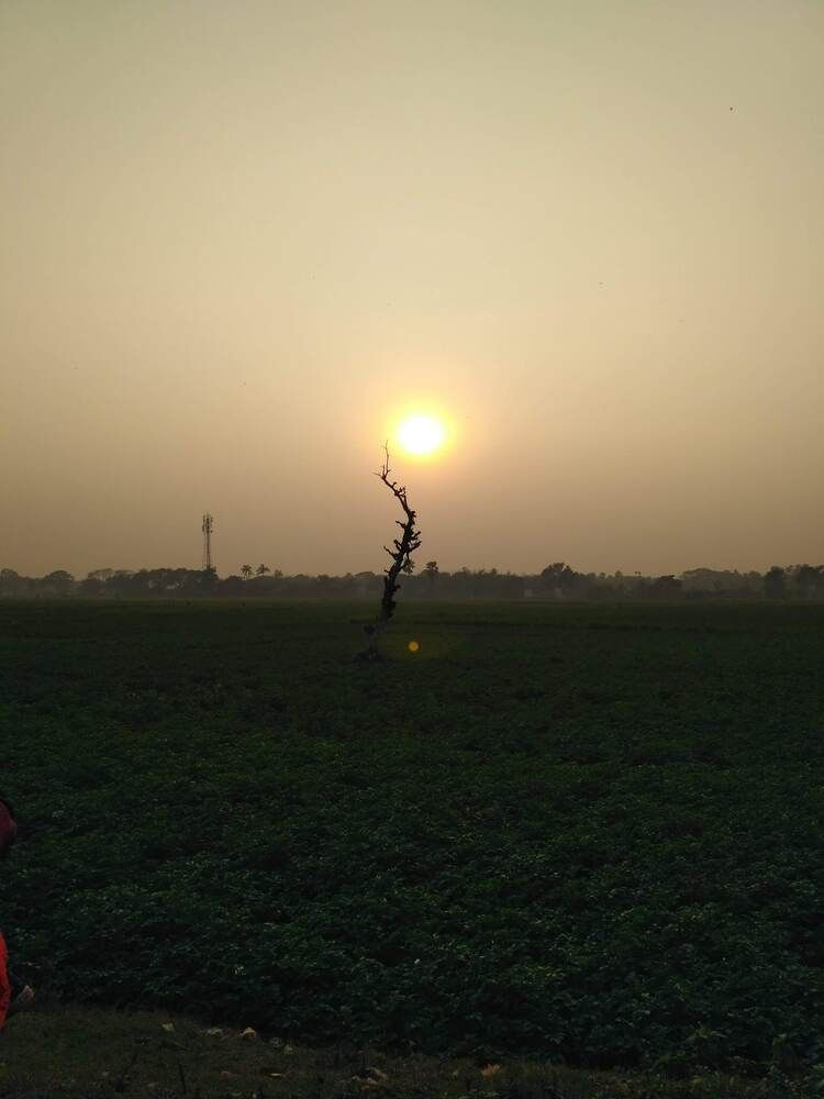 Photograph by Mr S HAZRA