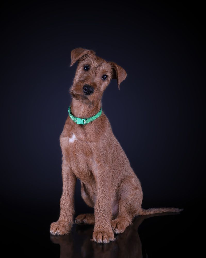 Photograph by Альвина Кузнецова