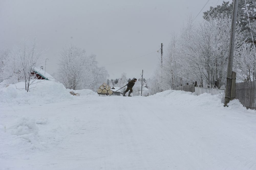 Photograph by Геннадий Тикка