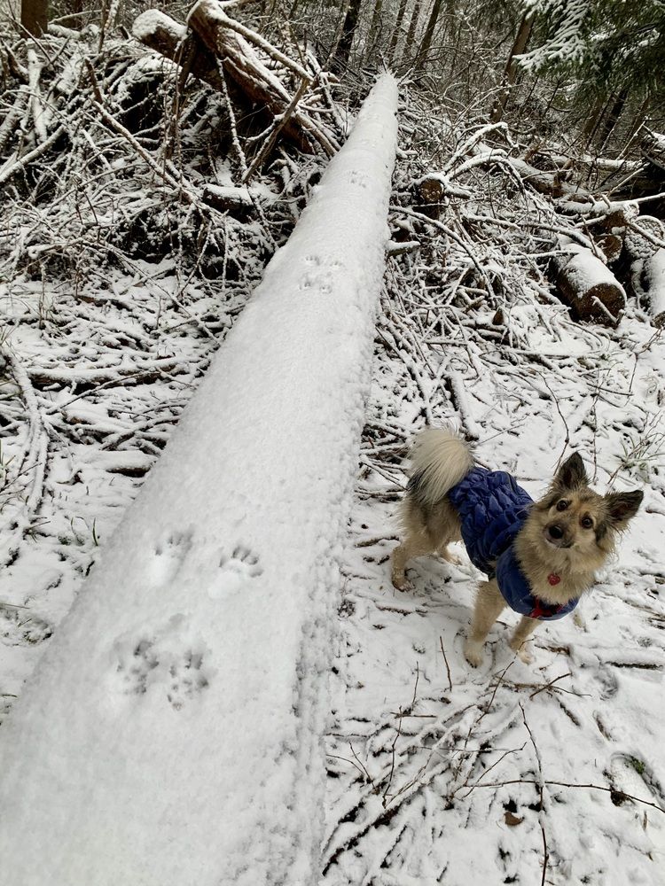 Photograph by Ионова Татьяна