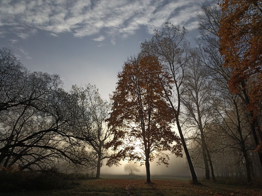 Photograph by Юлия