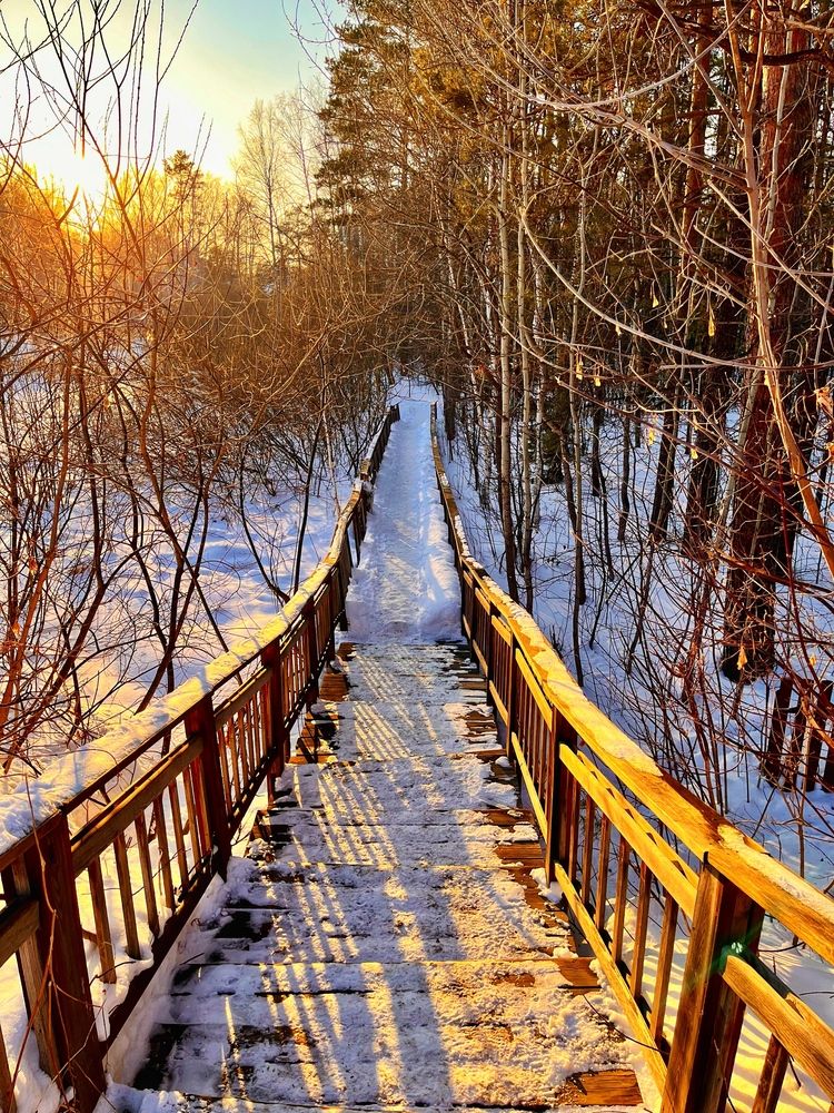 The path to the winter fairy tale