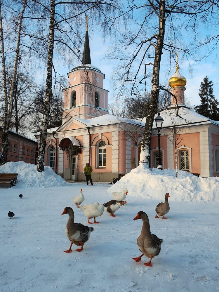 Photograph by Ольга Стоун